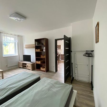 Apartmány U Viaduktu 46 Ústí nad Labem Kültér fotó