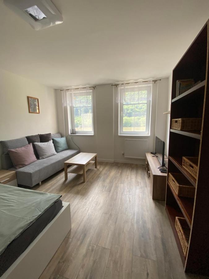 Apartmány U Viaduktu 46 Ústí nad Labem Kültér fotó